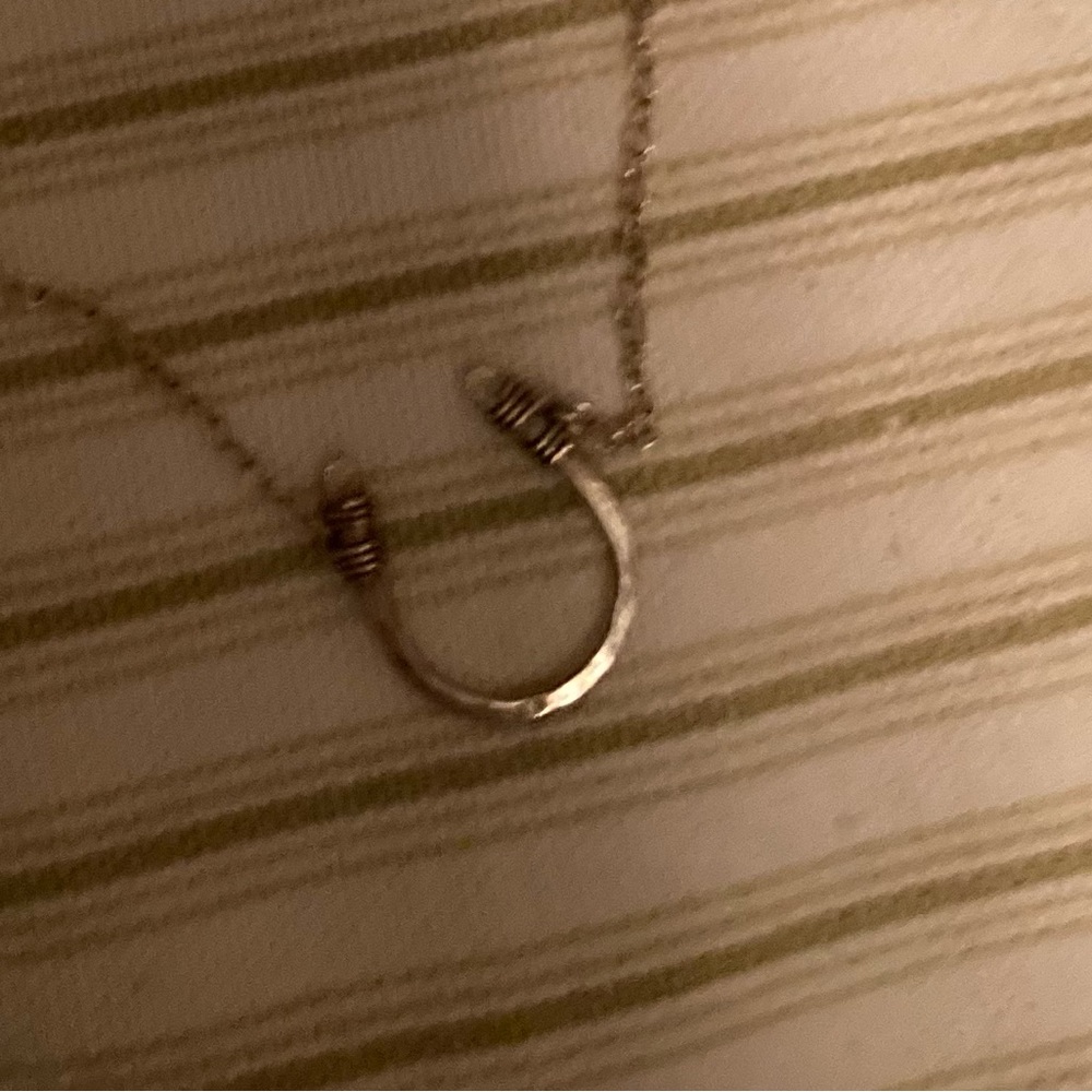 Silver horseshoe